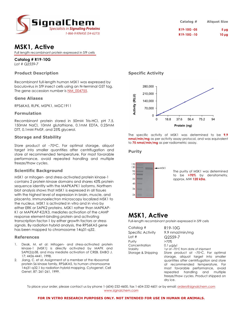 MSK1, Active Full Length Recombinant Protein Expressed in Sf9 Cells