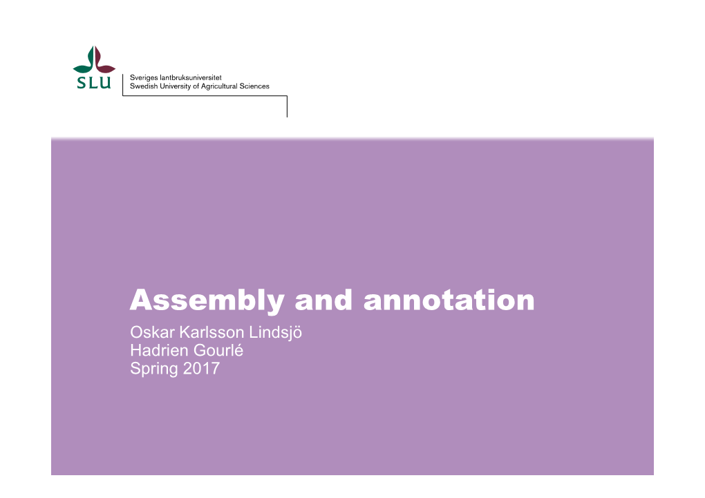 Assembly and Annotation