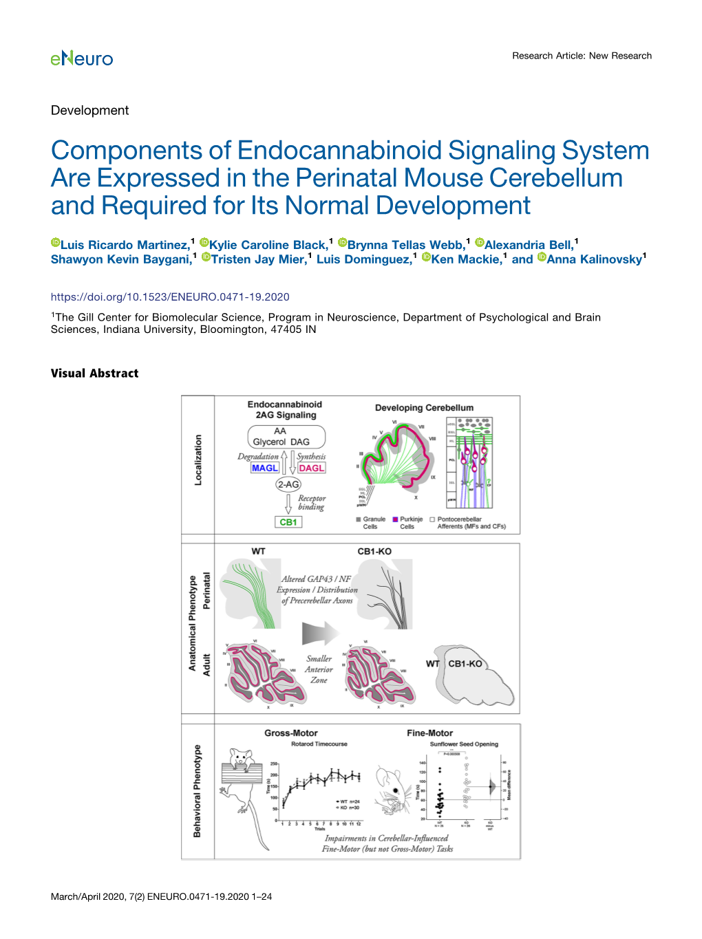 Components of Endocannabinoid Signaling System Are Expressed in the Perinatal Mouse Cerebellum and Required for Its Normal Development