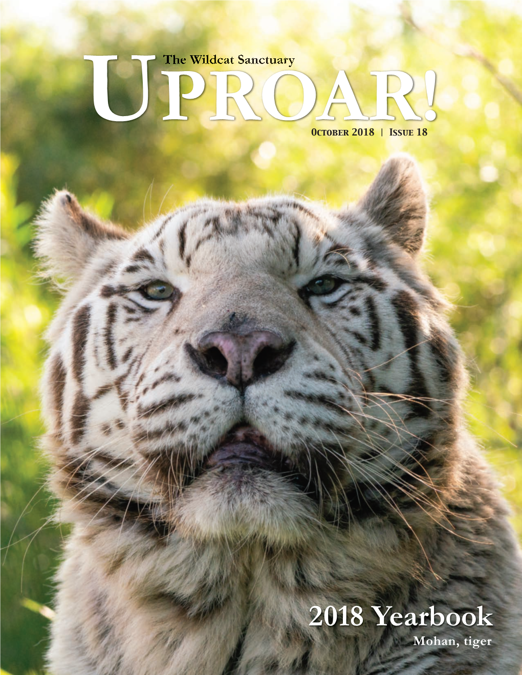 2018 Yearbook the Wildcat Sanctuary