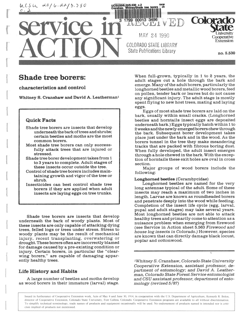 Shade Tree Borers: Adult Stages Cut a Hole Through the Bark and Emerge