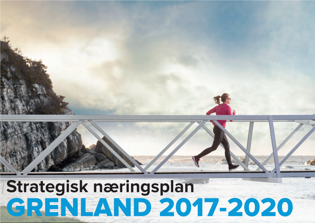 Strategisk Næringsplan GRENLAND 2017-2020 Trykk: Februar 2017