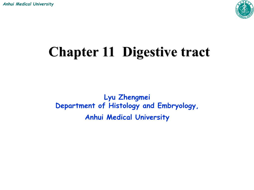 Chapter 11 Digestive Tract