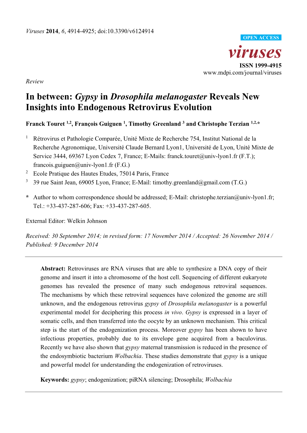 Gypsy in Drosophila Melanogaster Reveals New Insights Into Endogenous Retrovirus Evolution