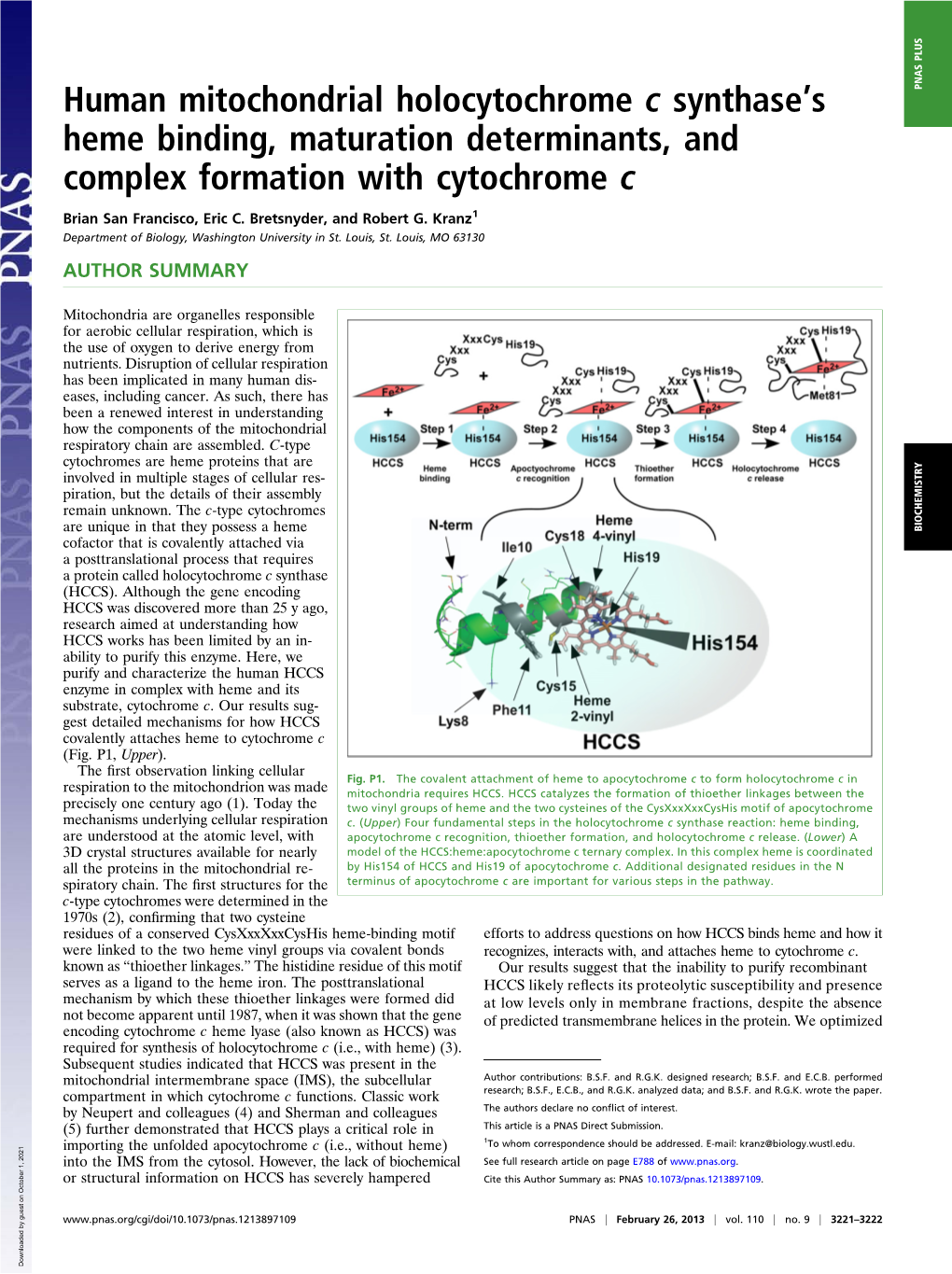 Human Mitochondrial Holocytochrome C Synthase Ts Heme Binding