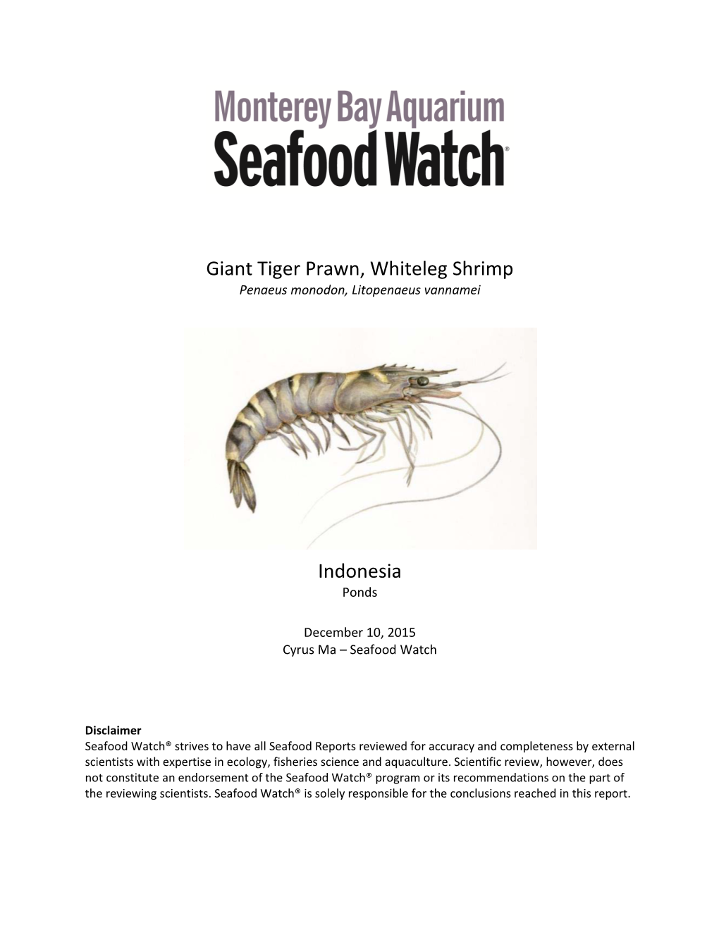 Giant Tiger Prawn, Whiteleg Shrimp Penaeus Monodon, Litopenaeus Vannamei