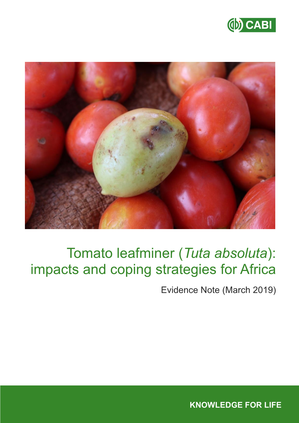 Tuta Absoluta): Impacts and Coping Strategies for Africa Evidence Note (March 2019)