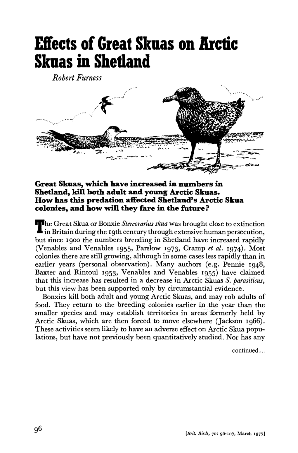 Effects of Great Skuas on Arctic Skuas in Shetland Robert Furness