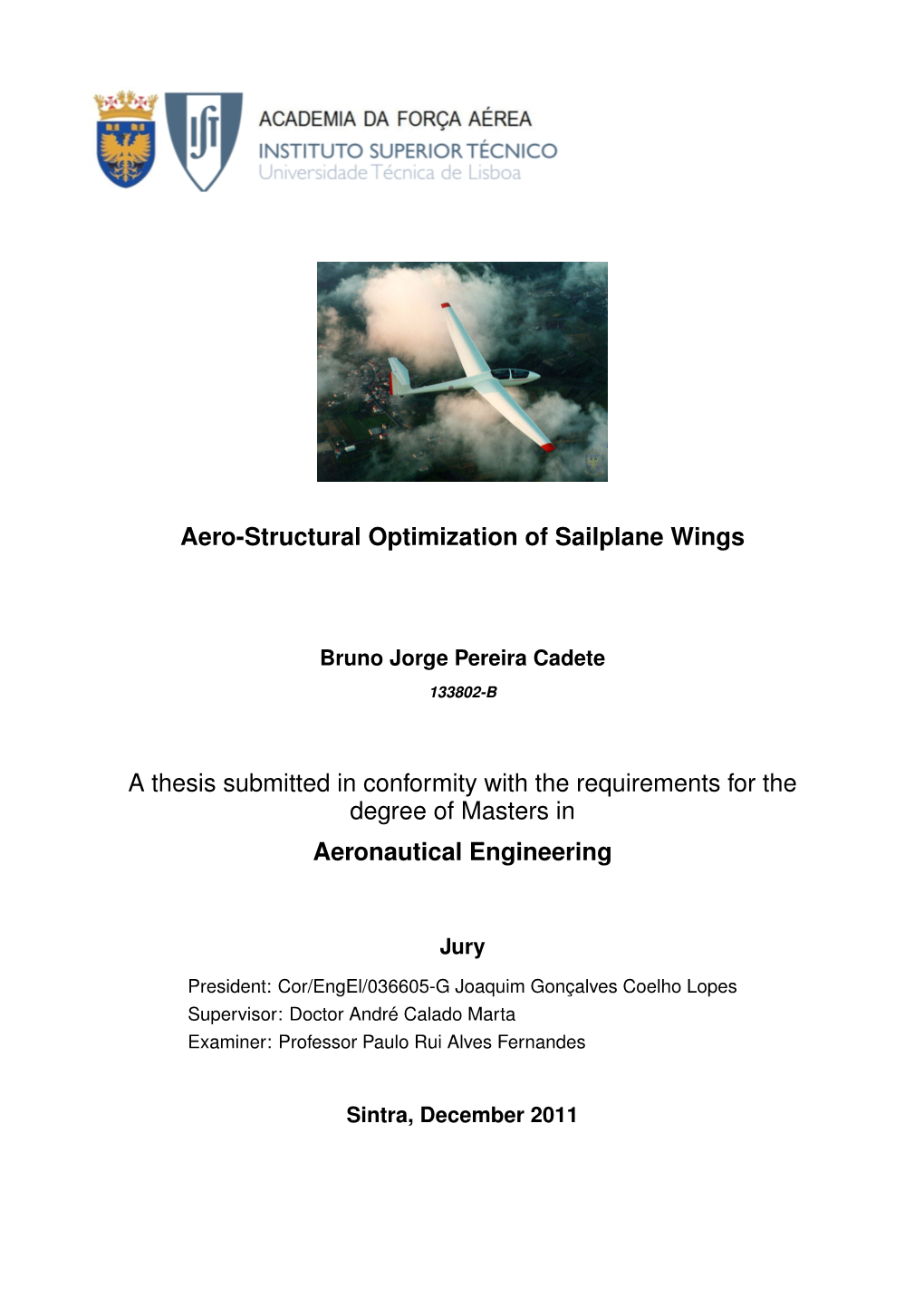 Aero-Structural Optimization of Sailplane Wings a Thesis