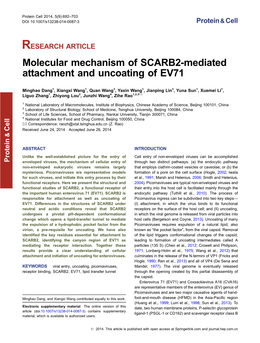 Molecular Mechanism of SCARB2-Mediated Attachment and Uncoating of EV71