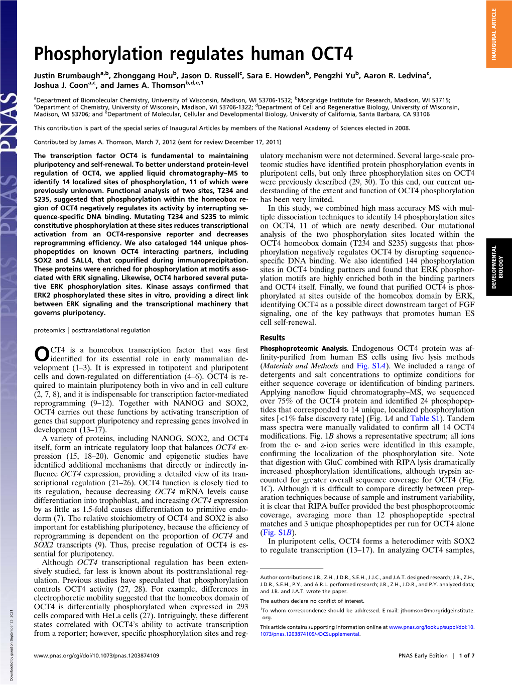 Phosphorylation Regulates Human OCT4 INAUGURAL ARTICLE