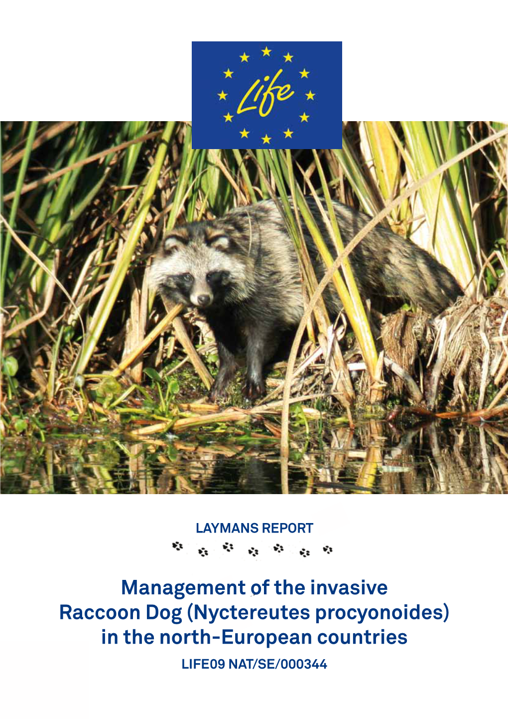 Management of the Invasive Raccoon Dog (Nyctereutes Procyonoides) In