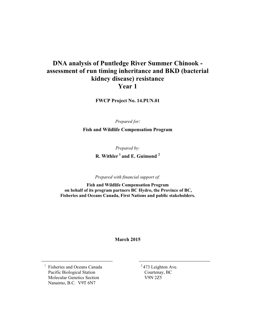 DNA Analysis of Puntledge River Summer Chinook - Assessment of Run Timing Inheritance and BKD (Bacterial Kidney Disease) Resistance Year 1