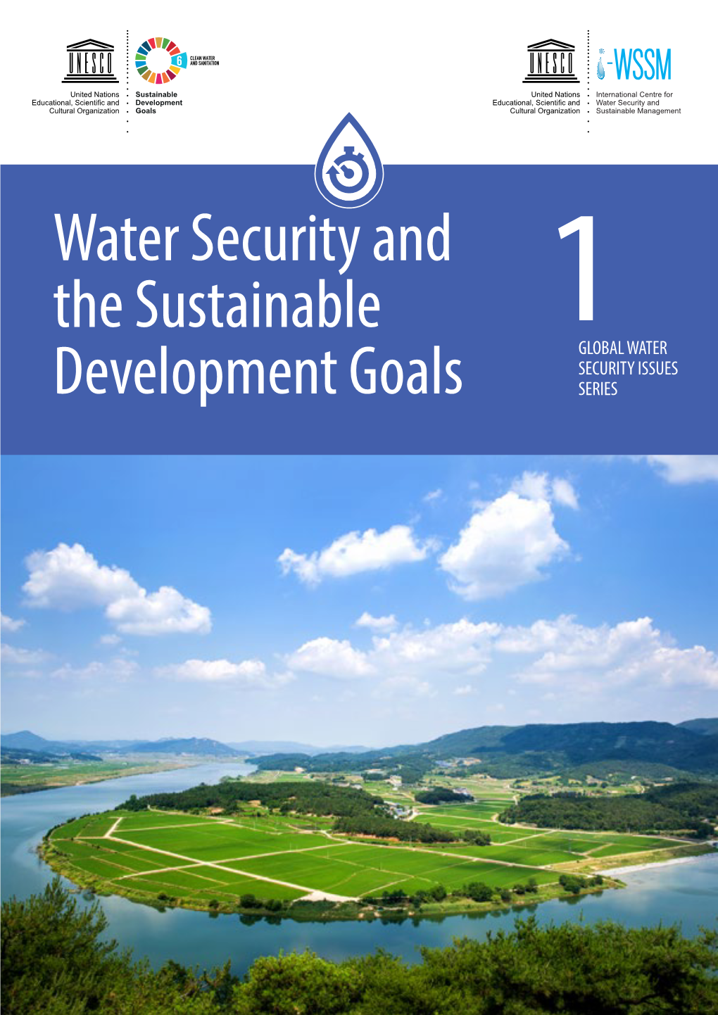 Water Security and the Sustainable Development Goals