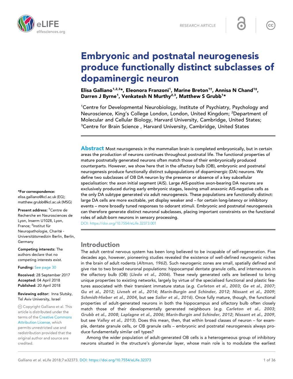 Embryonic and Postnatal Neurogenesis Produce Functionally