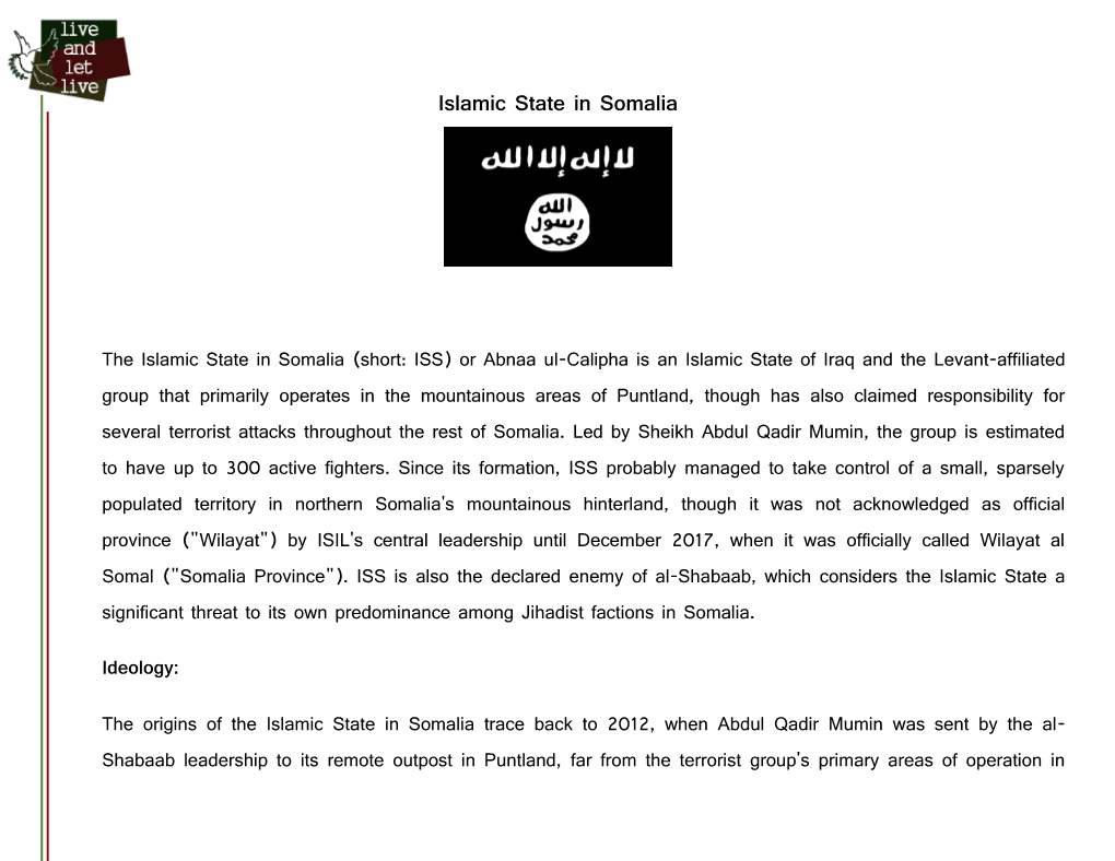 Islamic State in Somalia