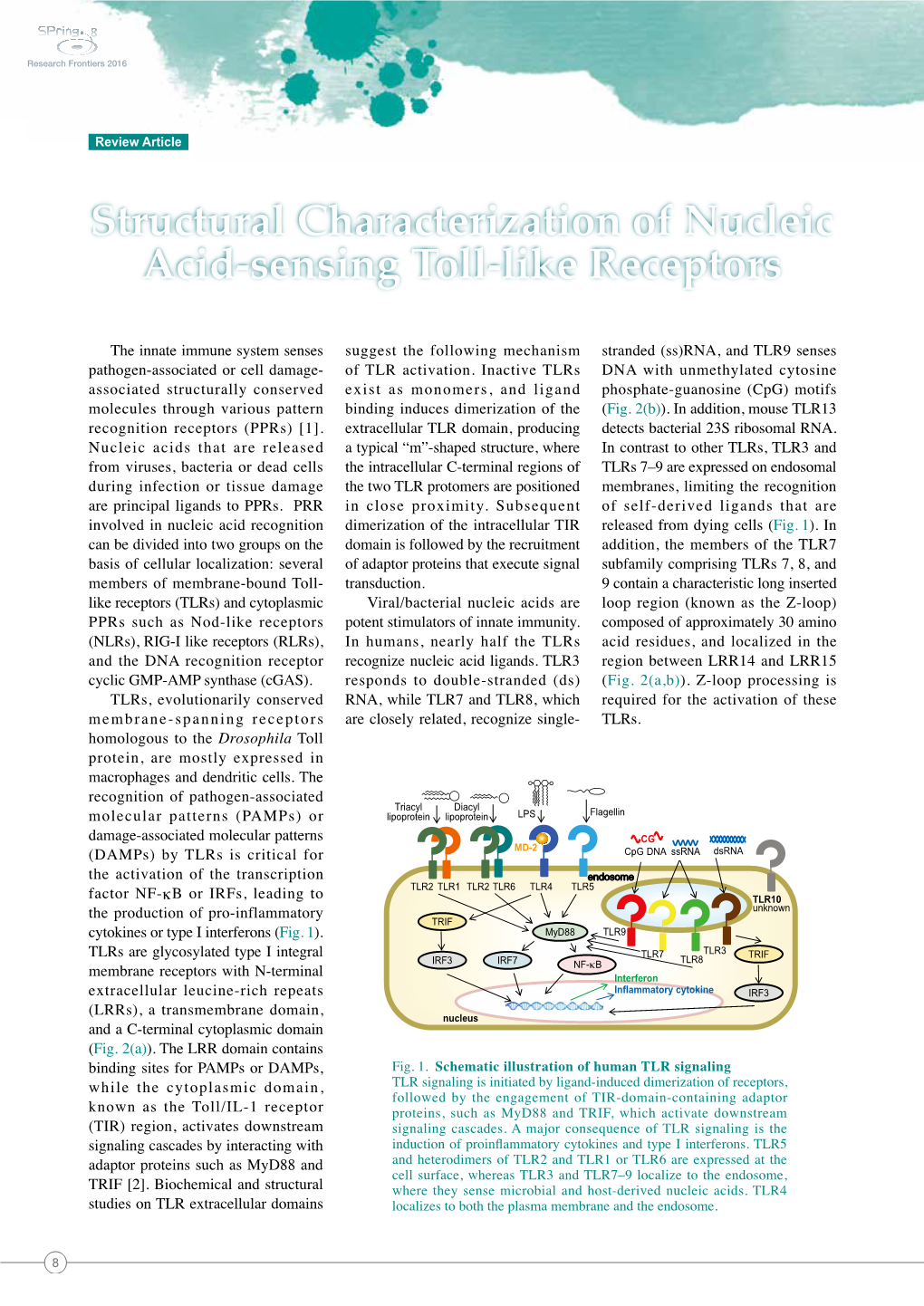 Structural Characterization of Nucleic Acid-Sensing Toll-Like Receptors T