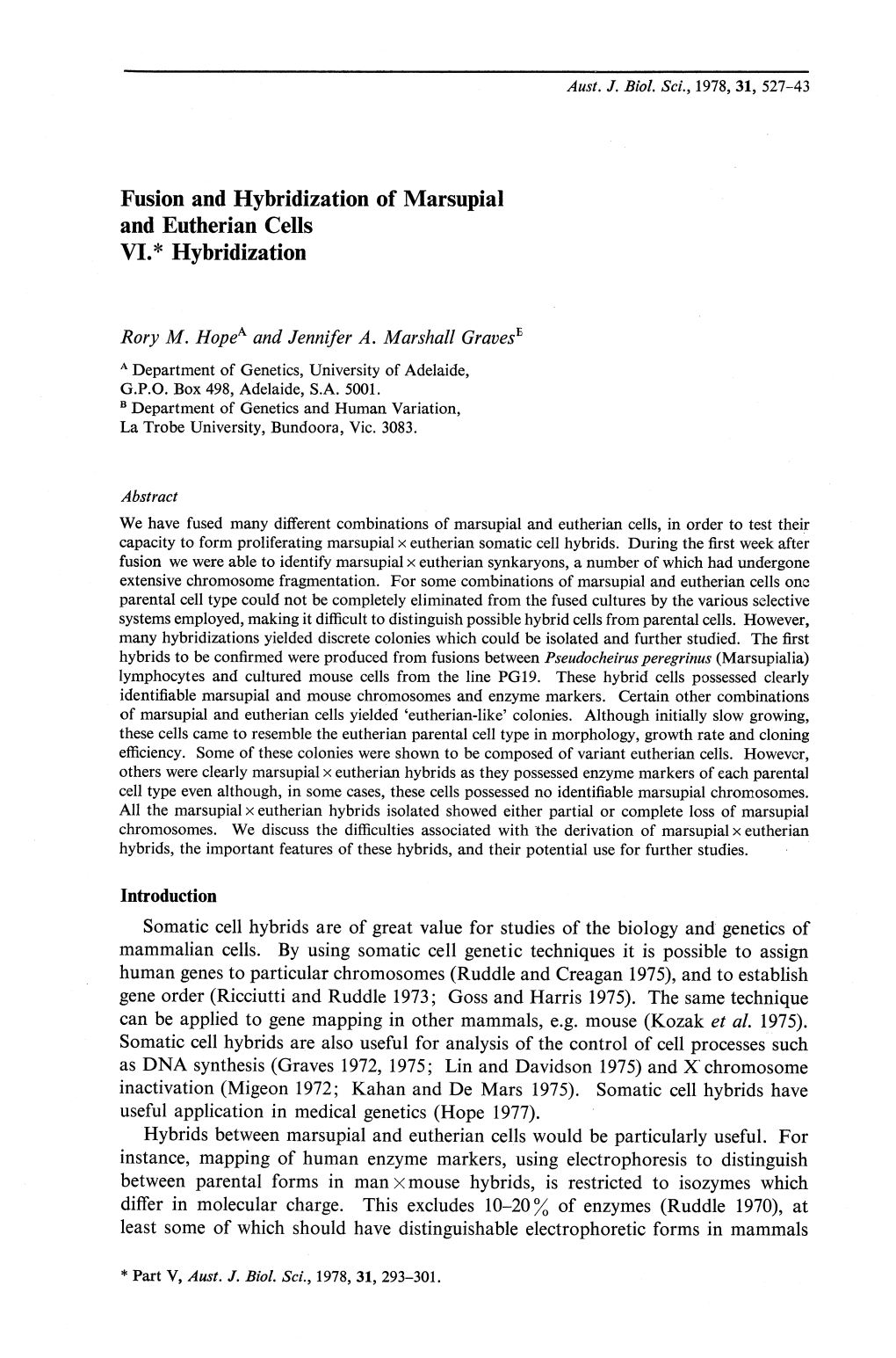 Fusion and Hybridization of Marsupial and Eutherian Cells VI.* Hybridization