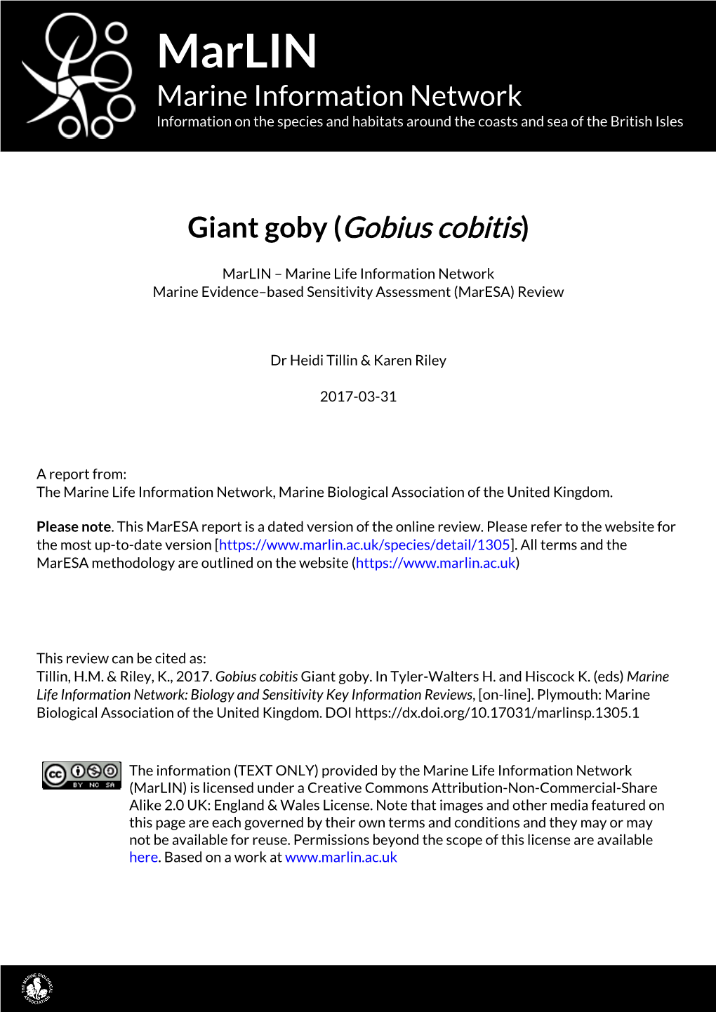 Giant Goby (Gobius Cobitis)