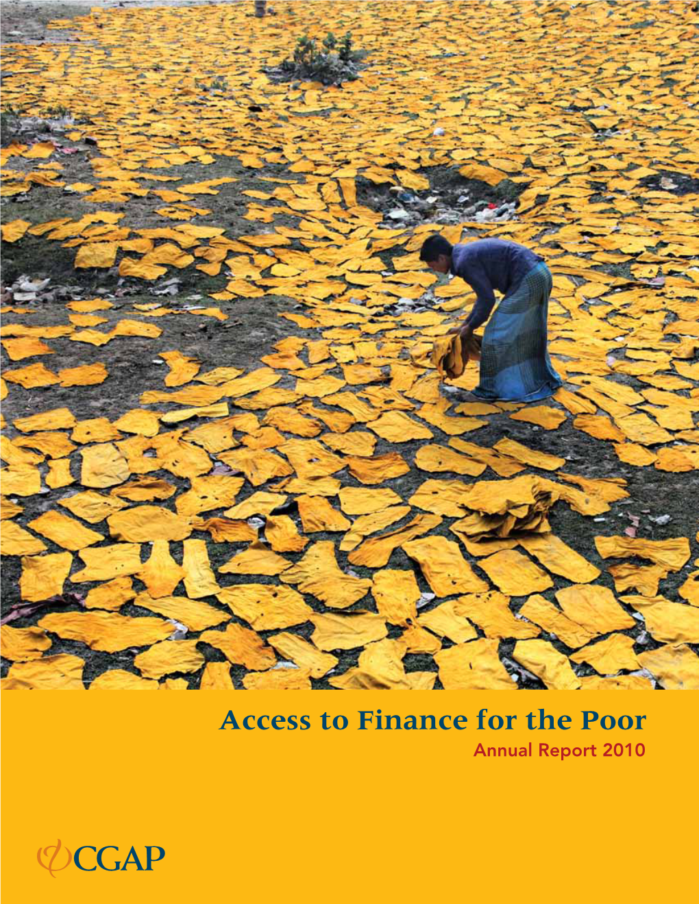 Access to Finance for the Poor Annual Report 2010