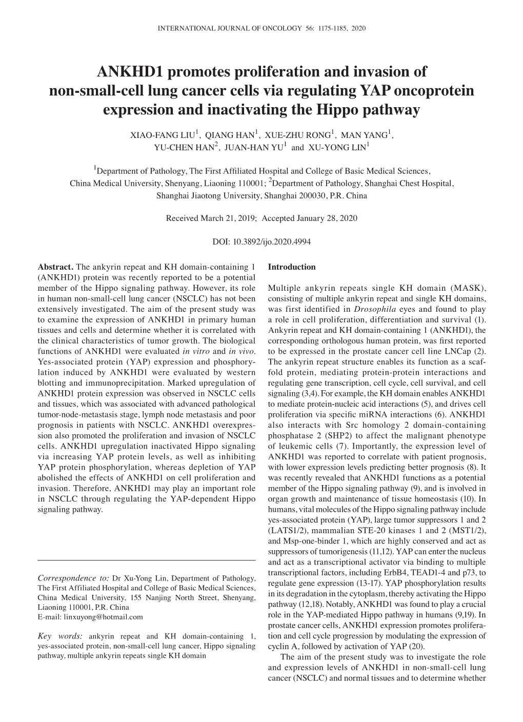 ANKHD1 Promotes Proliferation and Invasion of Non‑Small‑Cell Lung Cancer Cells Via Regulating YAP Oncoprotein Expression and Inactivating the Hippo Pathway