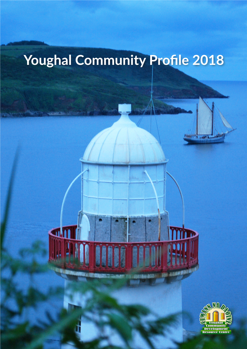 Youghal Community Profile 2018