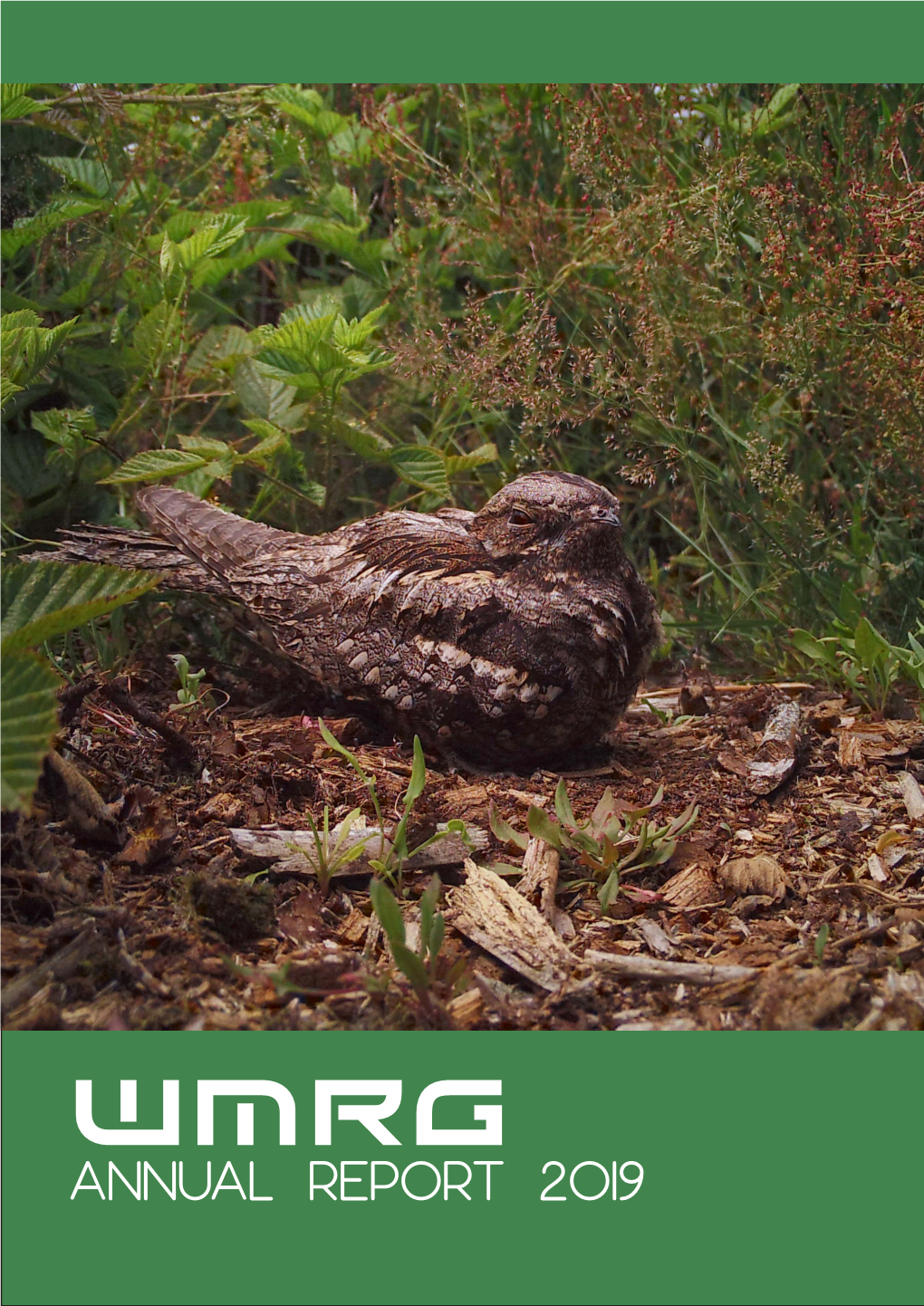 WMRG ANNUAL REPORT 2019 WMRG the West Midlands Ringing Group 2019 Annual Report Would Not Be Possible Without the Support of the Following Partners