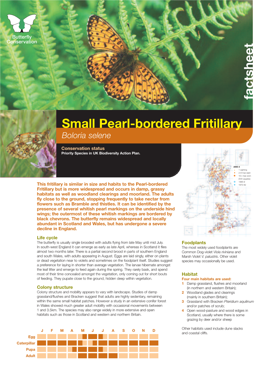 Small Pearl-Bordered Fritillary Priority Species Factsheet