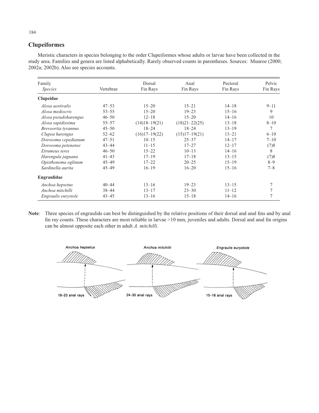 Clupeiformes Meristic Characters in Species Belonging to the Order Clupeiformes Whose Adults Or Larvae Have Been Collected in the Study Area