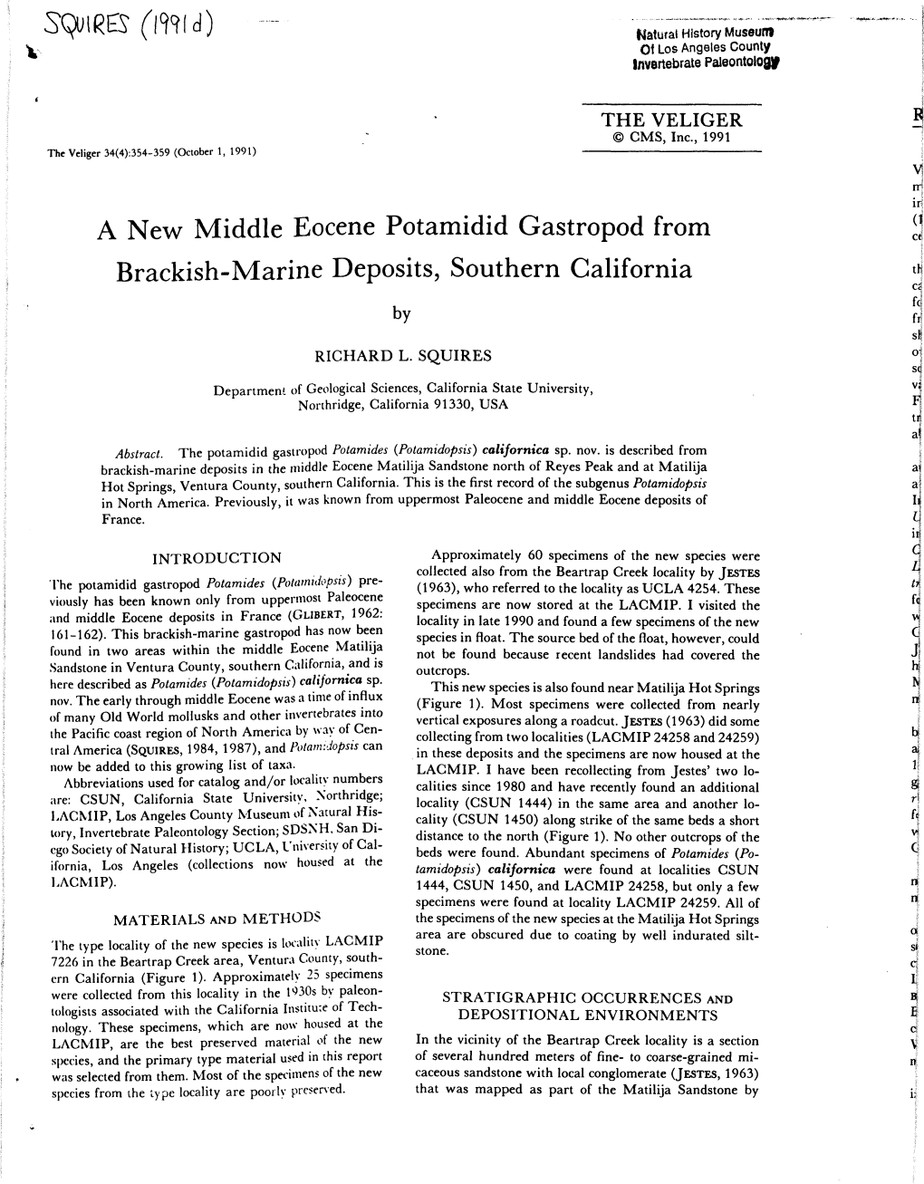 A New Middle Eocene Potamidid Gastropod from Brackish-Marine Deposits, Southern California