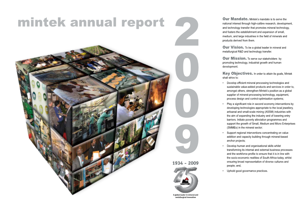 Mintek Annual Report