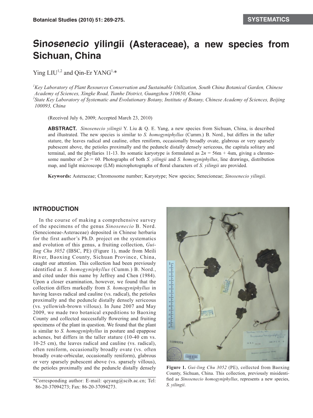 Sinosenecio Yilingii (Asteraceae), a New Species from Sichuan, China