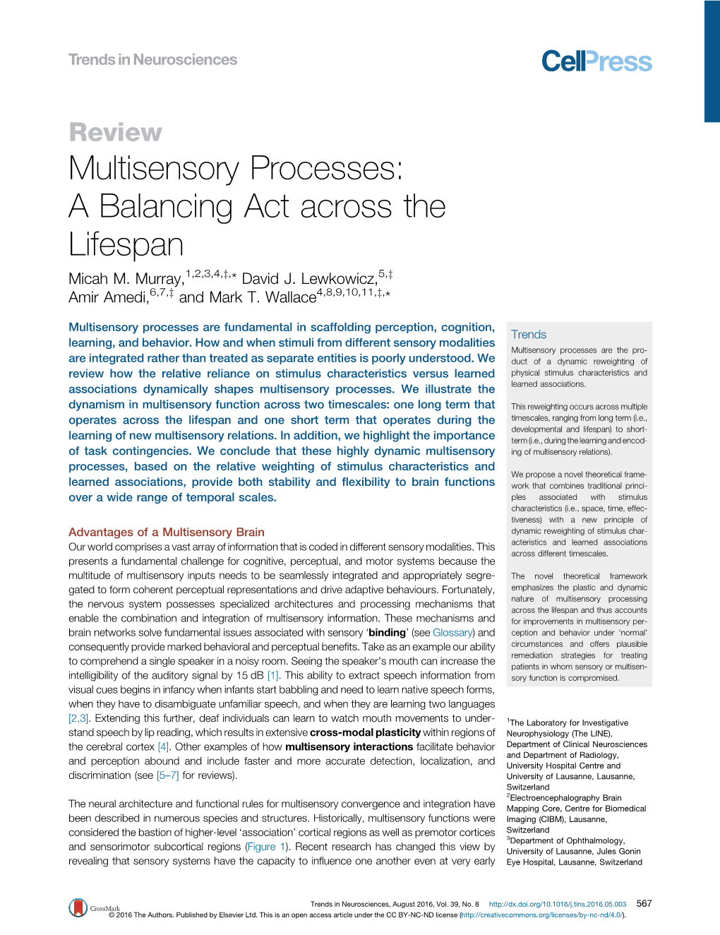 Multisensory Processes