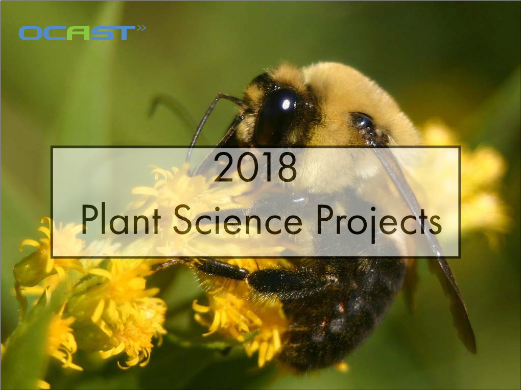 Plant Projects 2018