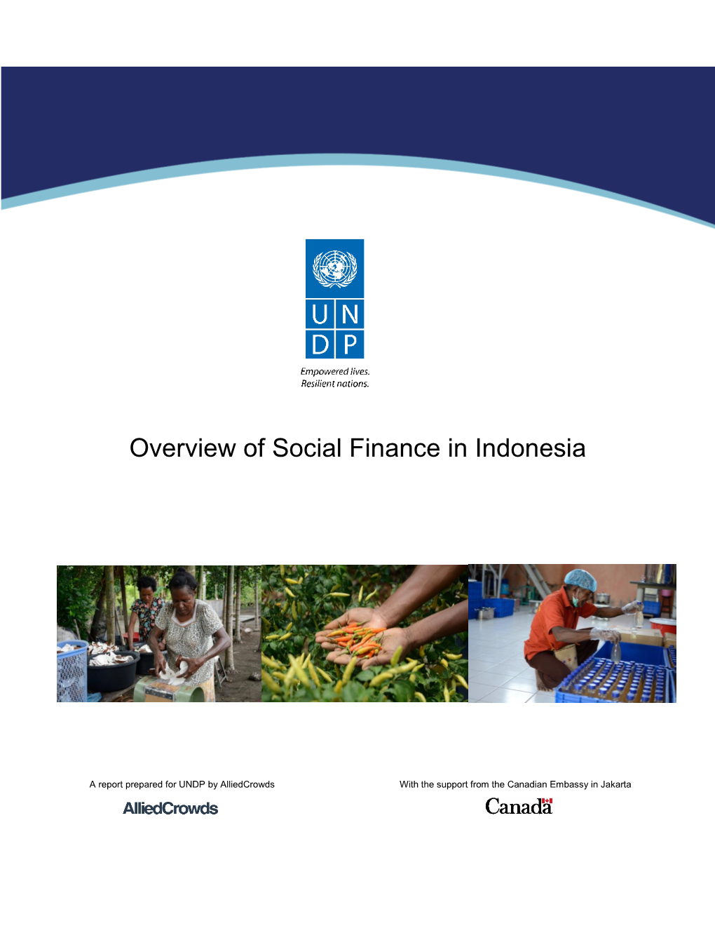 Overview of Social Finance in Indonesia