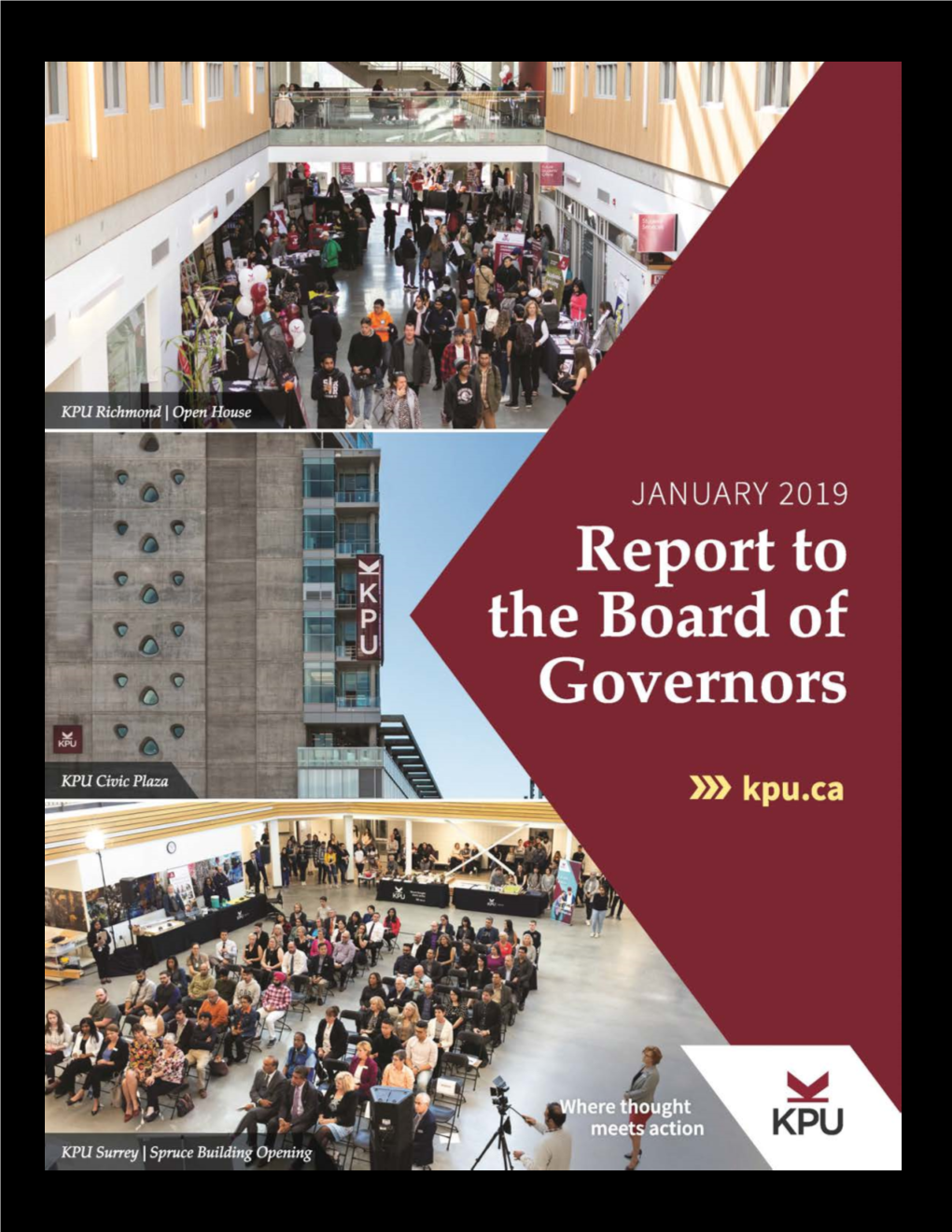 Report to the Board: January 2019