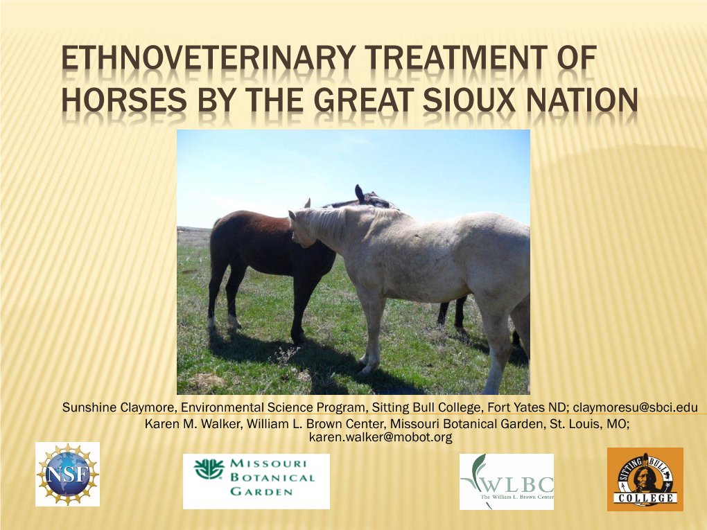 Ethnoveterinary Treatment of Horses by the Great Sioux Nation