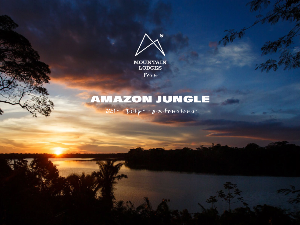 Amazon Jungle