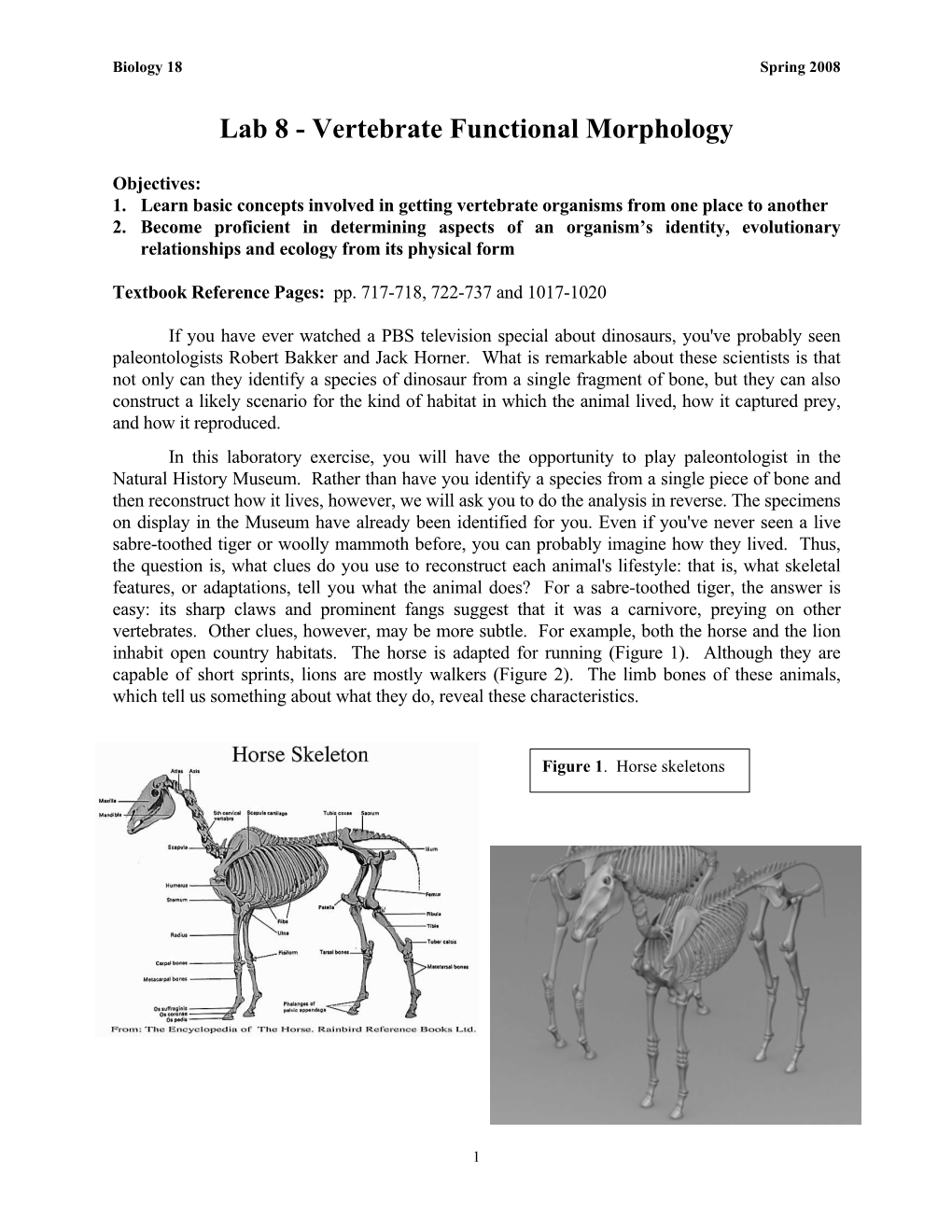 Lab 8 - Vertebrate Functional Morphology