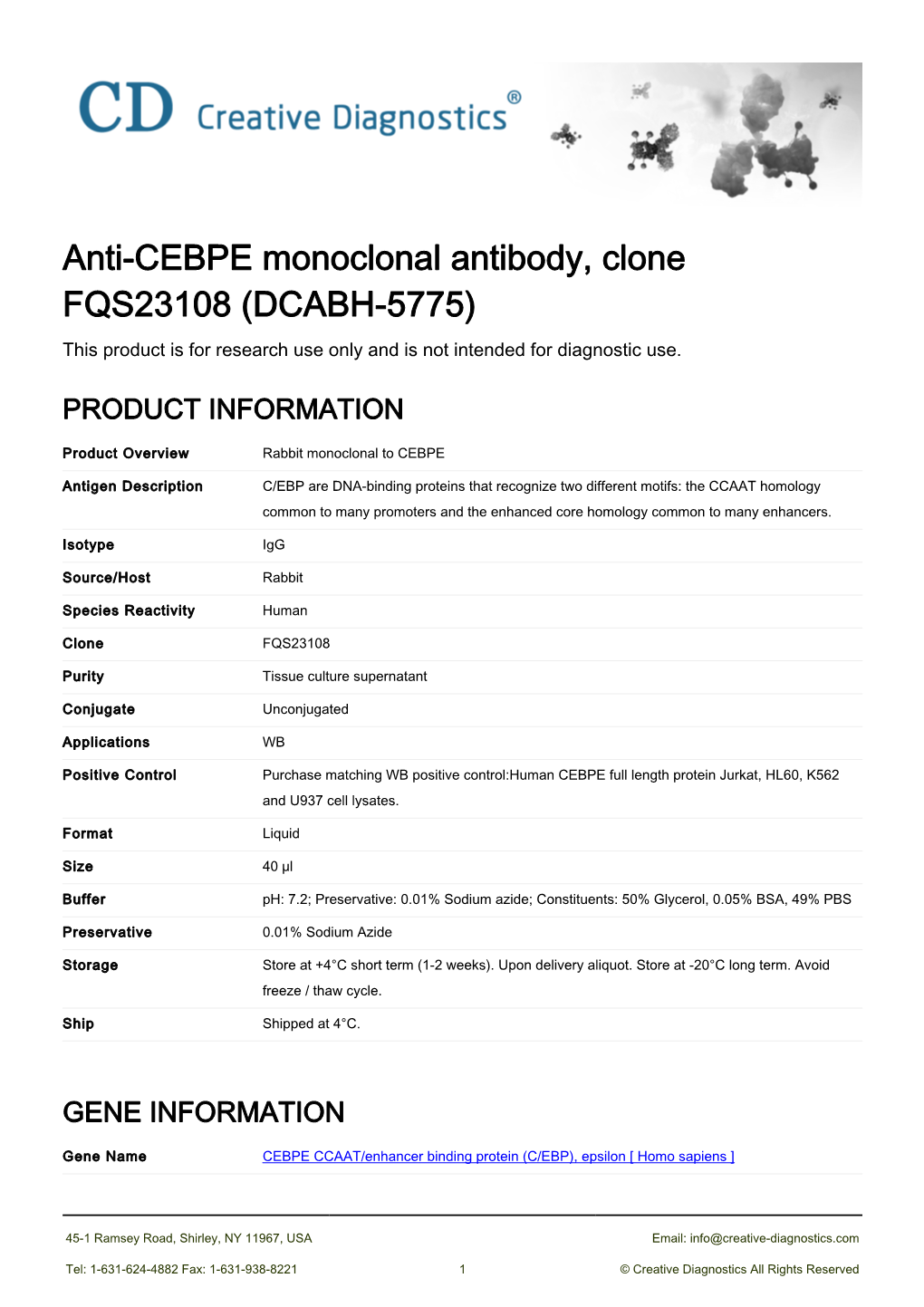 Anti-CEBPE Monoclonal Antibody, Clone FQS23108 (DCABH-5775) This Product Is for Research Use Only and Is Not Intended for Diagnostic Use