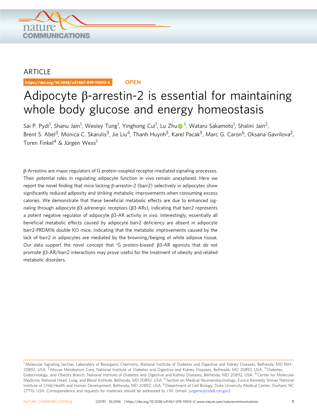 Adipocyte Î²-Arrestin-2 Is Essential for Maintaining Whole Body Glucose and Energy Homeostasis