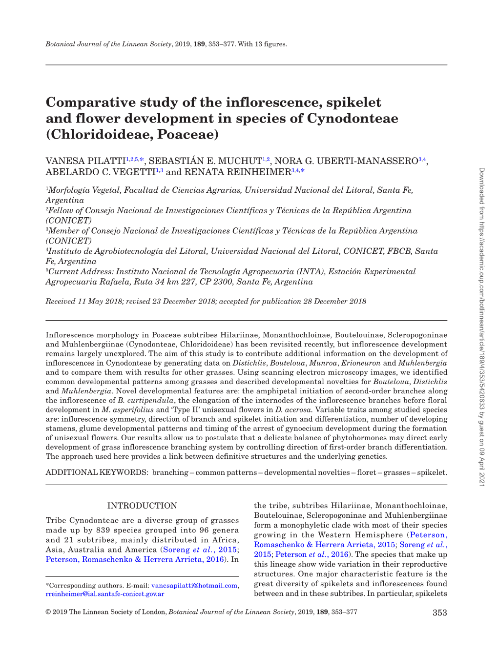 Comparative Study of the Inflorescence, Spikelet and Flower