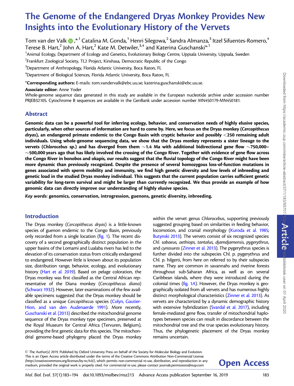 The Genome of the Endangered Dryas Monkey Provides New Insights Into the Evolutionary History of the Vervets Article Open Access