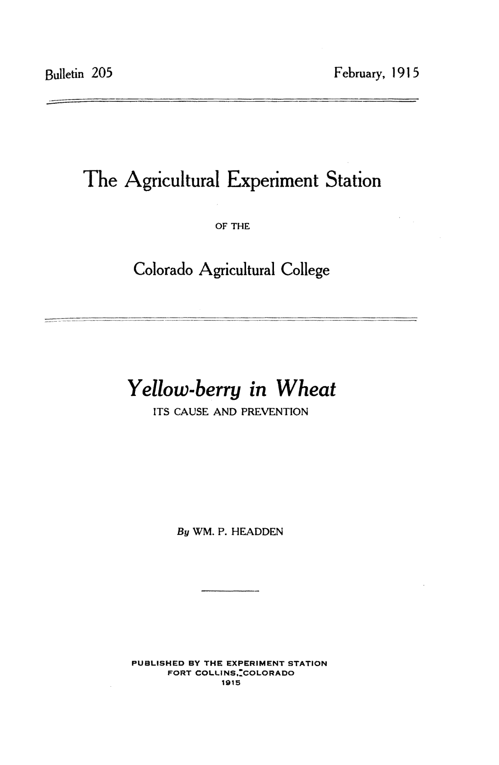 Yellow-Berry in Wheat : Its Cause and Prevention