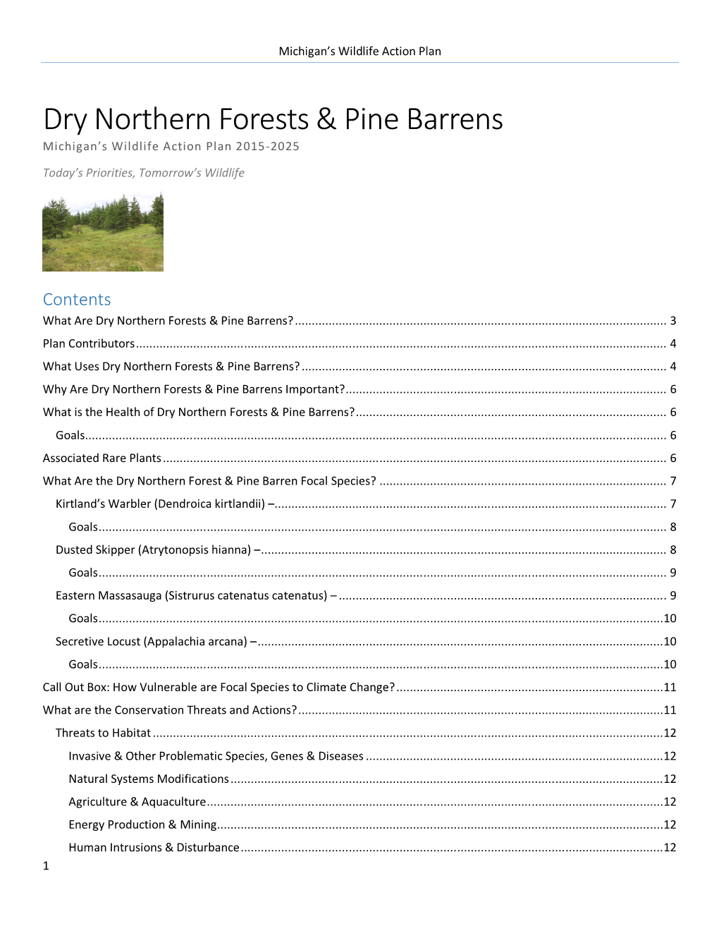 Dry Northern Forests & Pine Barrens