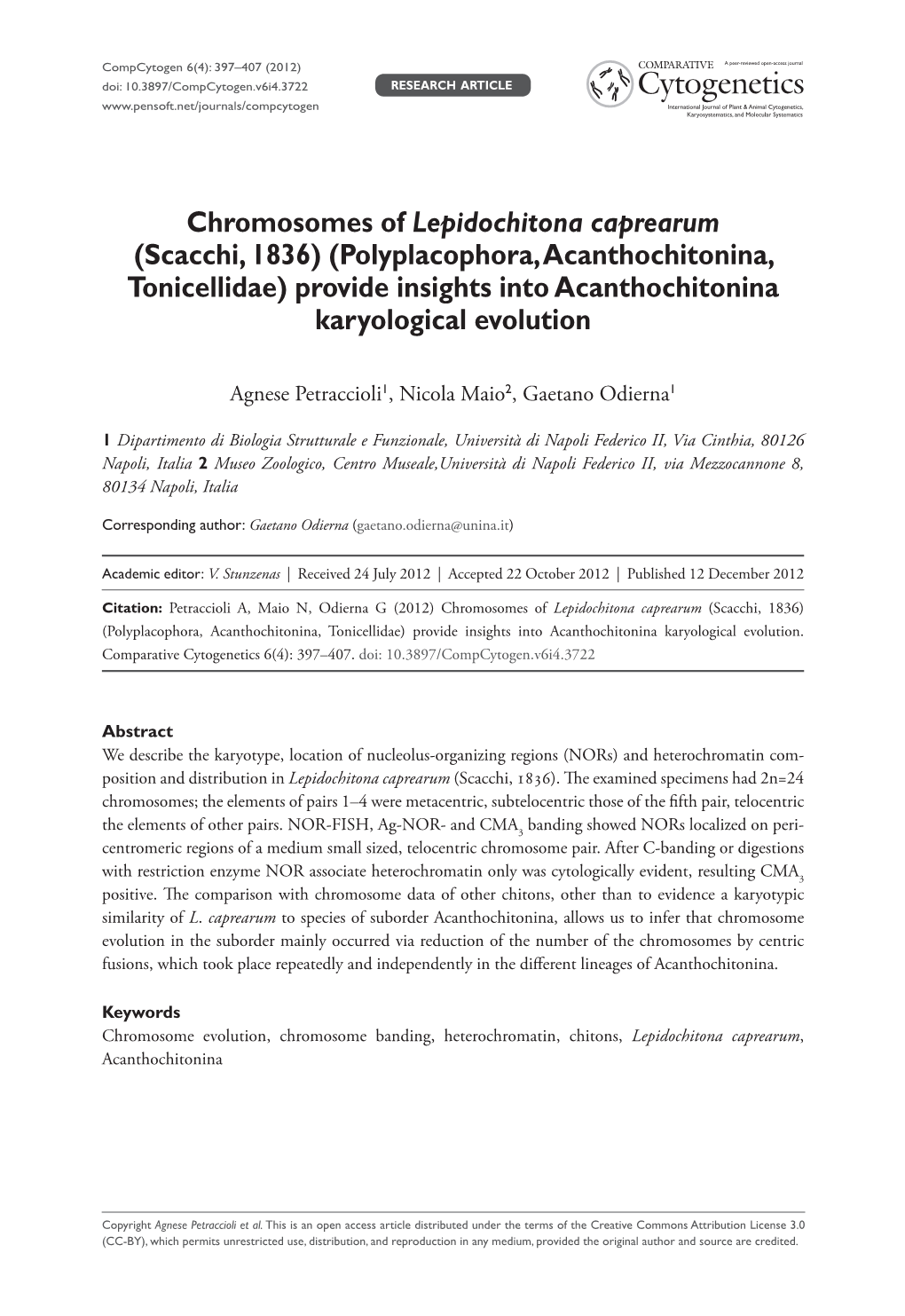 Chromosomes of Lepidochitona Caprearum (Scacchi, 1836) (Polyplacophora, Acanthochitonina, Tonicellidae) Provide Insights Into Acanthochitonina Karyological Evolution