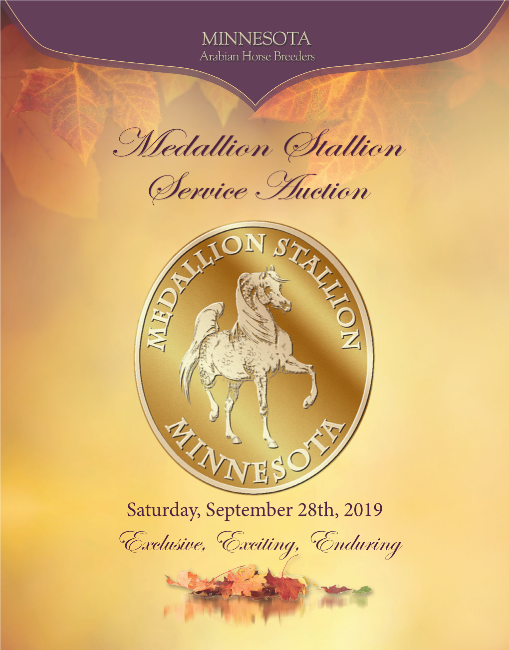Stallion Auction Lot Brochure