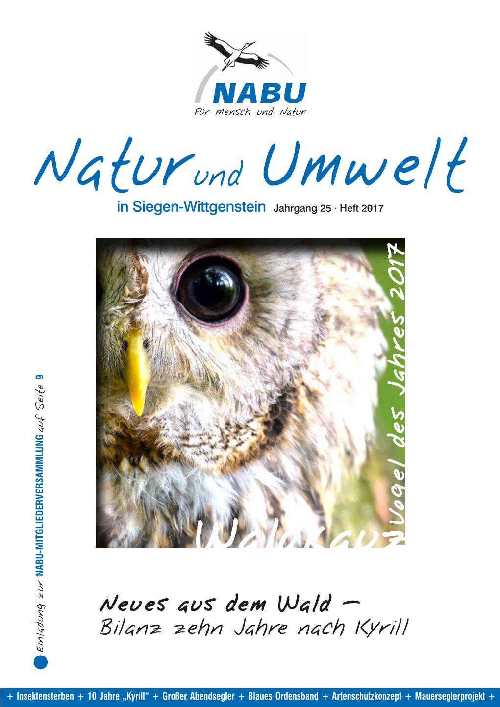 Waldkauz 2017 Jahres Des Vogel NABU-M I T G L Edervers Amm Neues Aus Dem Wald – Bilanz Zehn Jahre Nach Kyrill Einladung Zur Einladung