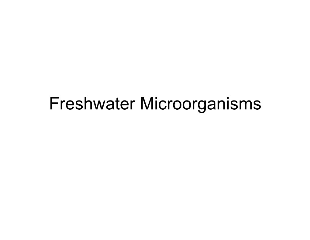 Freshwater Microorganisms