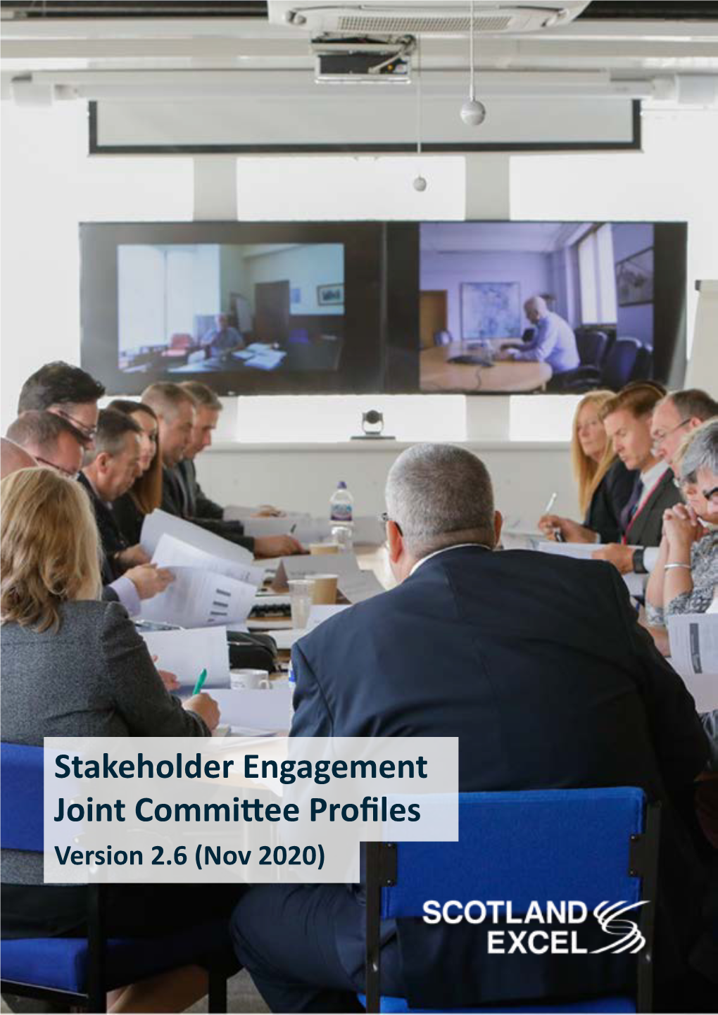 Stakeholder Engagement Joint Committee Profiles Version 2.6 (Nov 2020) Council Composition